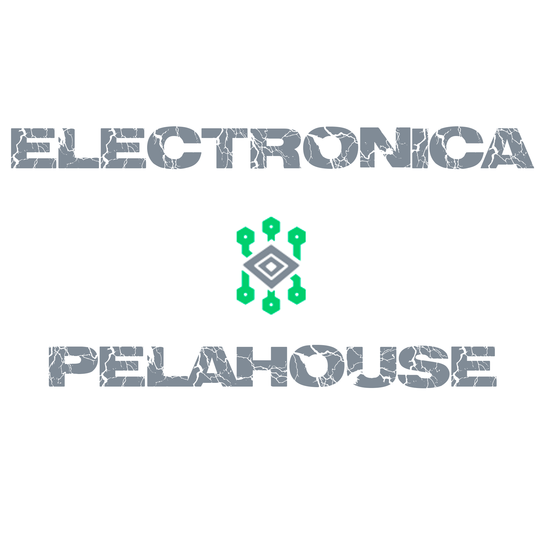 Electrónica PelaHouse